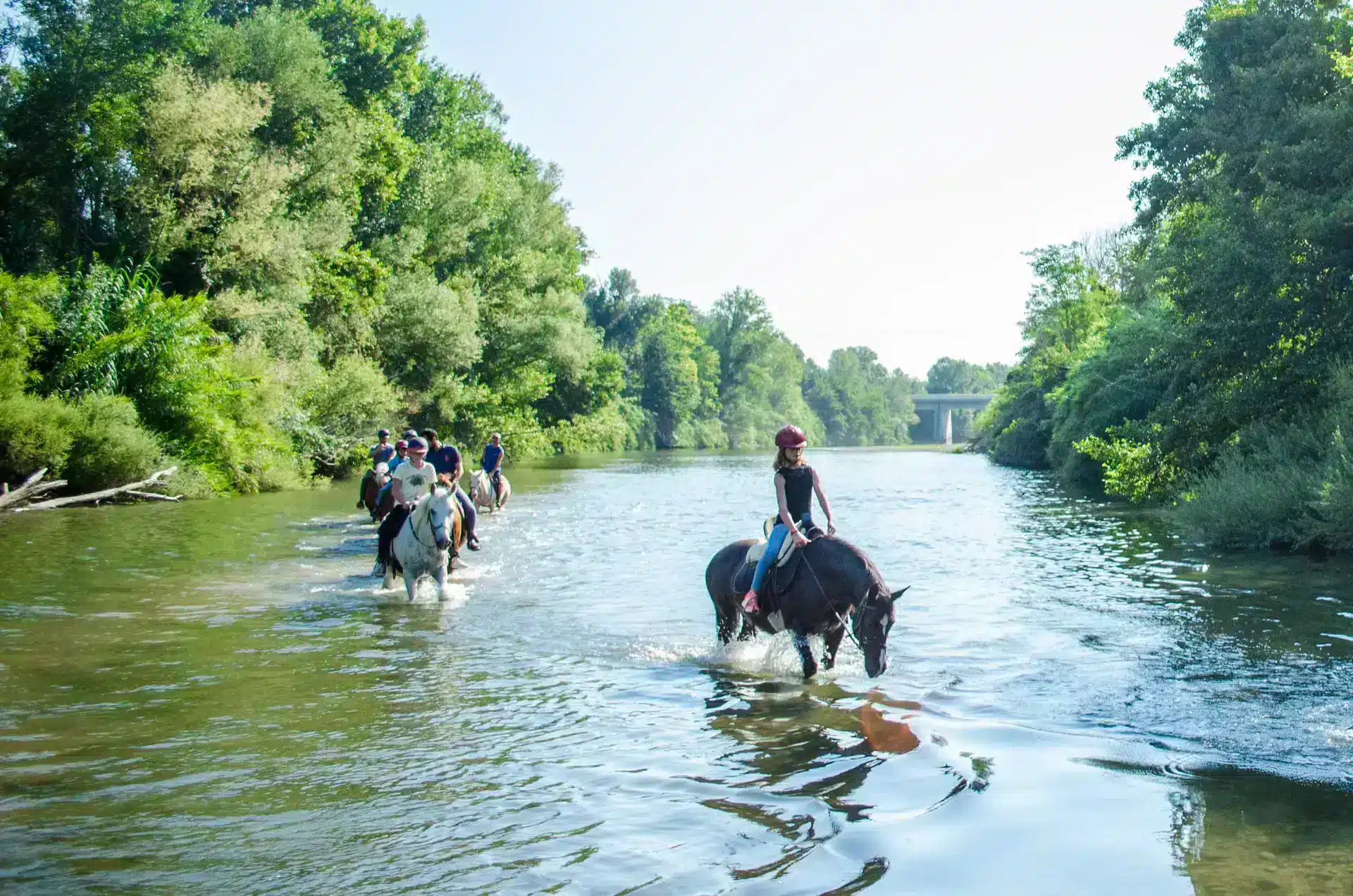 horseback riding  