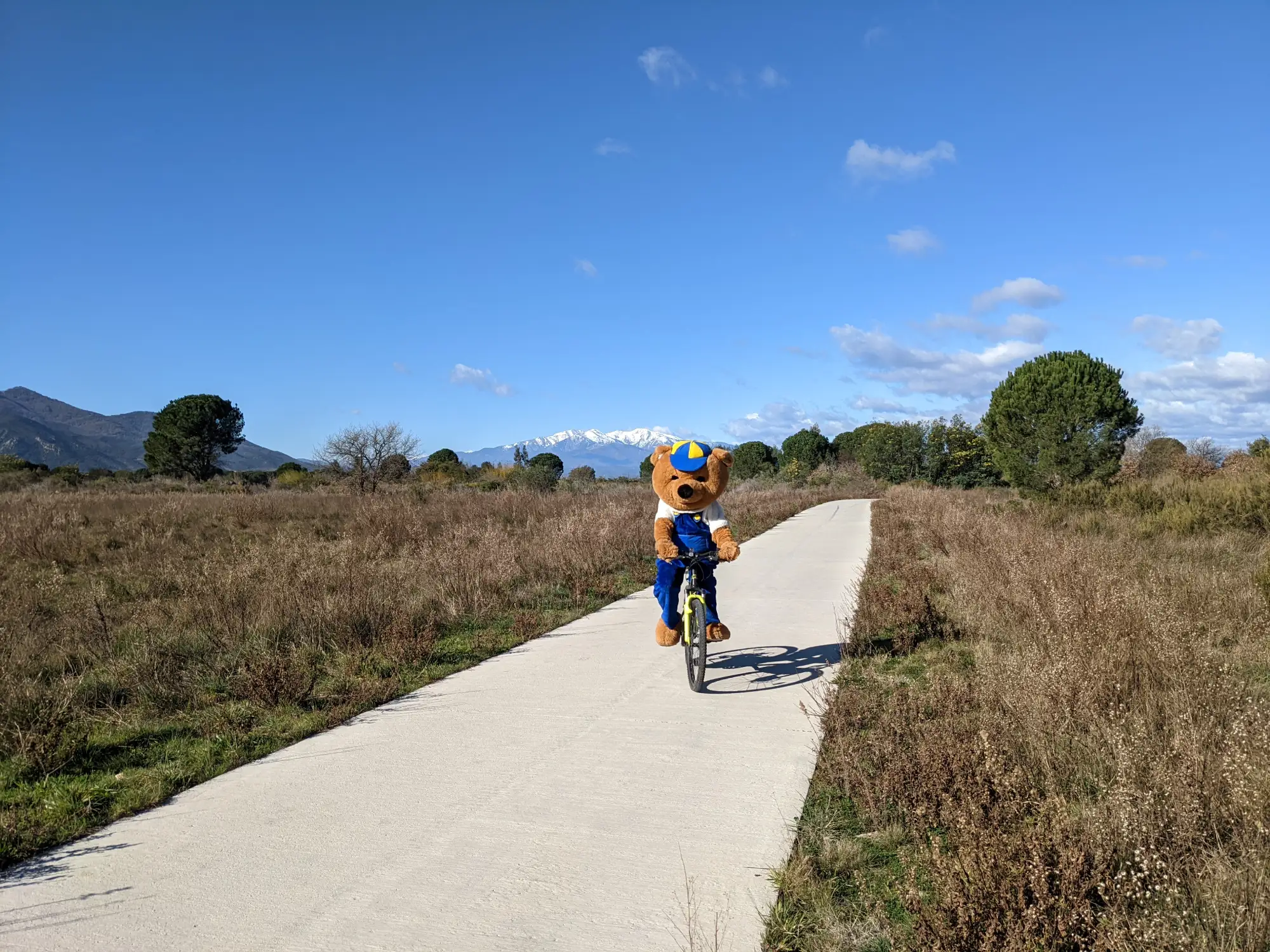 maskottchen camping a velo