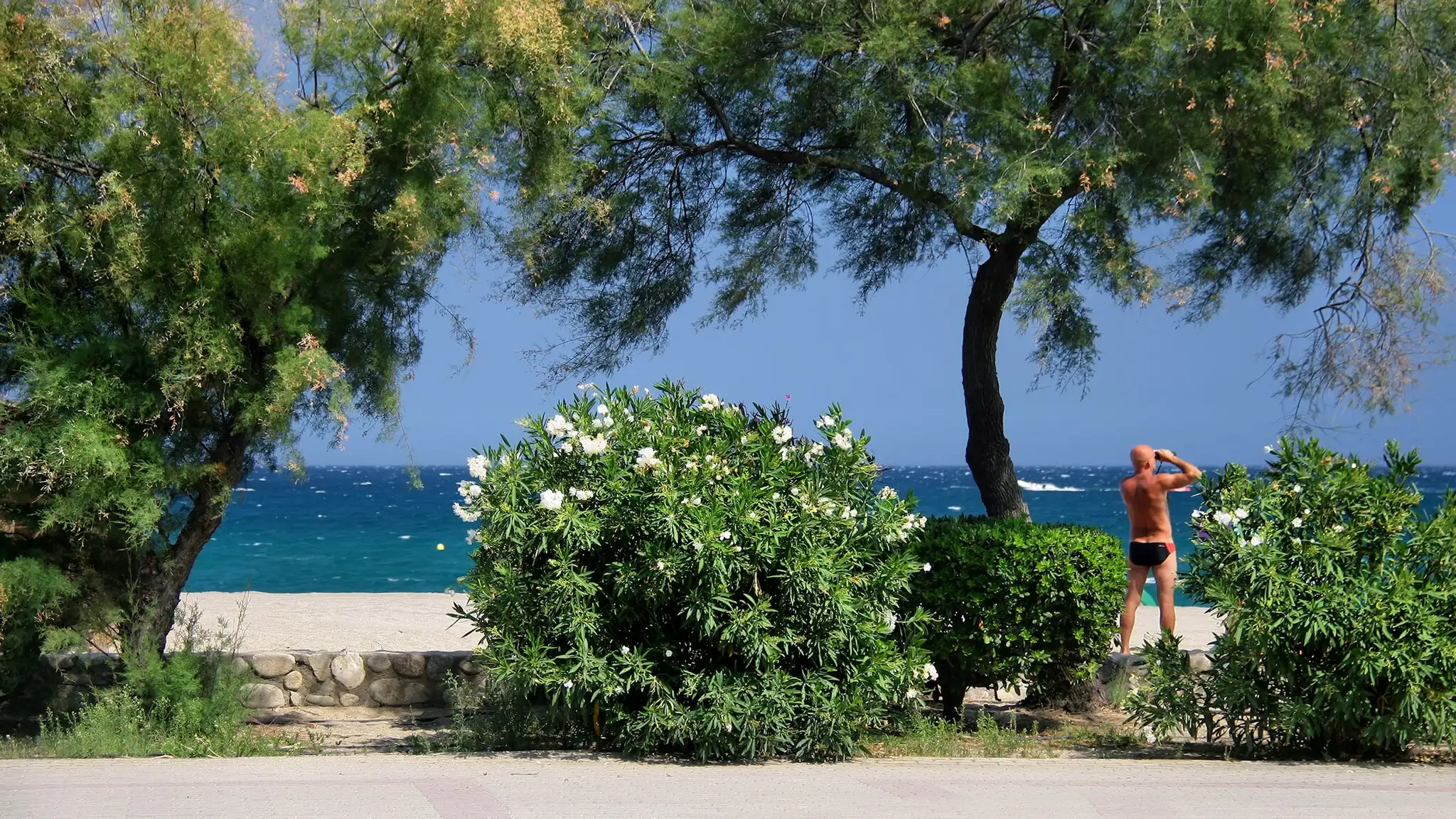 Argelès sur Mer plage Jorge Franganillo