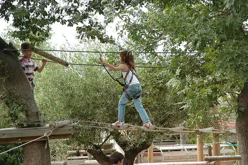 curso de aventura en las copas de los árboles