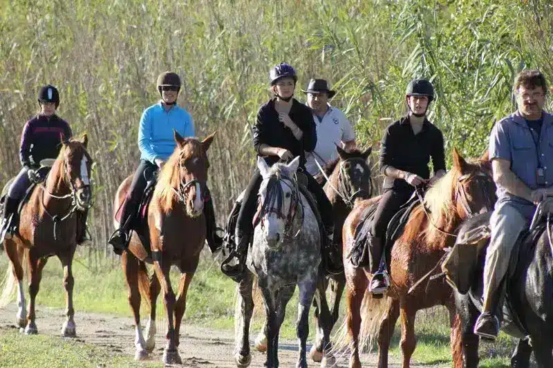 paseo en tranvía