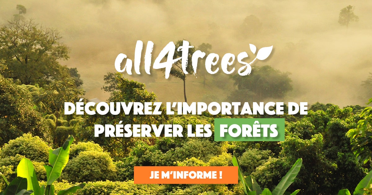 banner all4trees comprendre
