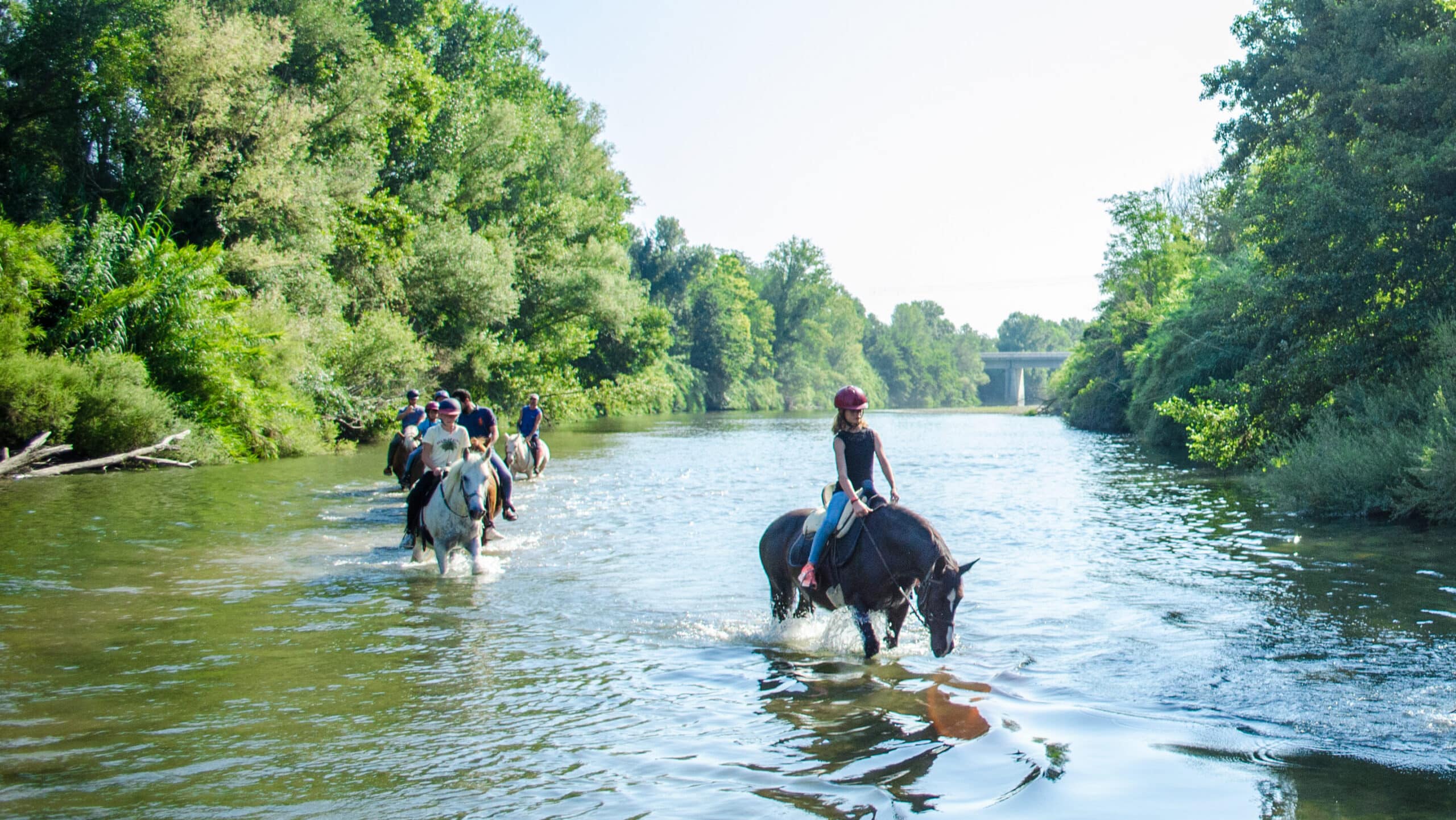 Balade a cheval ArgelesTourisme Stephane FERRER 2093