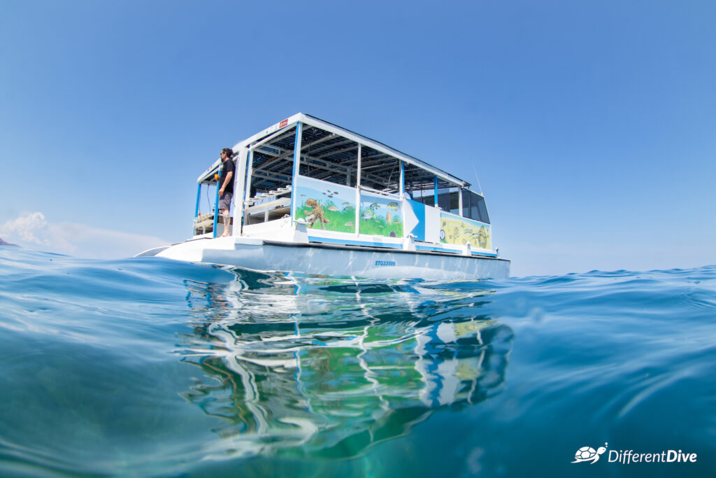 Catamaran de Nostra Mar